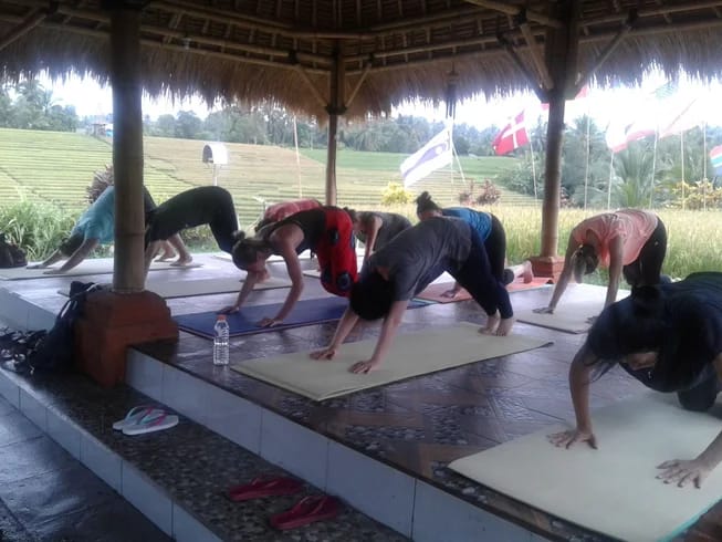 People practising yoga on mats in an open-sided pavilion beside rice fields at Baliuma Retreats in Bali.